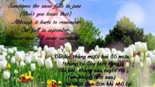 Rain in december - Bosson Lyrics ( vietsub)
