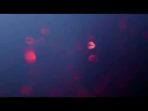 #Kiss #Techno #Project #Happy #Friday