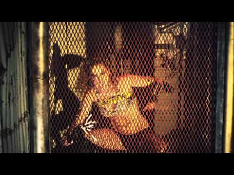 Candi Lynn - Lunatics Music Video