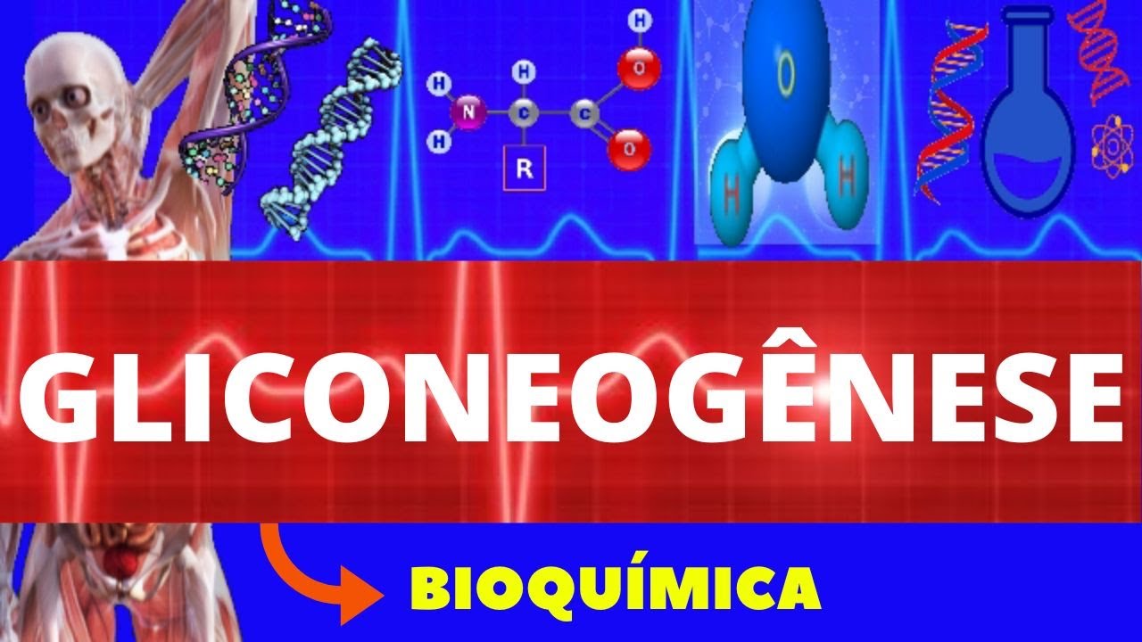 GLICONEOGÊNESE (ENSINO SUPERIOR) - BIOQUÍMICA - GLICONEOGÊNESE COMPLETO