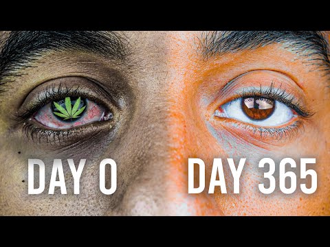 365 Days Without Weed: The Best Year Of My Life