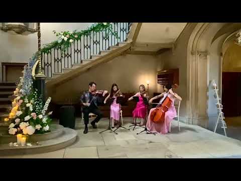 Video Garden String Quartet  London