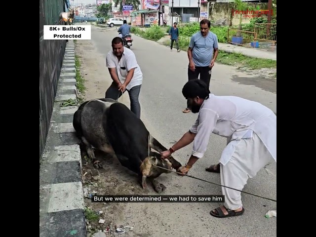 About Krishnayan Video Thumbnail