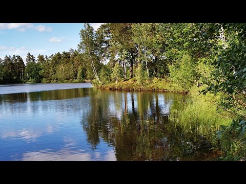 UDDEN i RONNEBYÅN nära Karlsnäsgården - 210615 - RONNEBY - Blekinge - Huawei p30 PRO