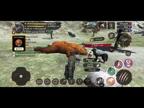 The wolf Green Hills champion