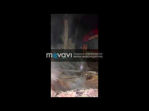 Новый проект3