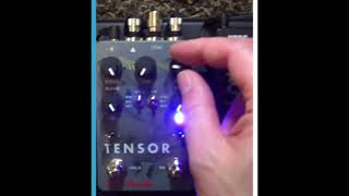 Red Panda Lab Tensor run through #2