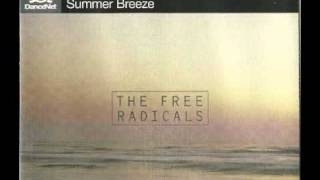 The Free Radicals - Summer Breeze (Original Mix) DanceNet Records 1997
