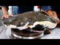GIANT REDTAIL CATFISH Vietnamese Food Hang Duong Quan