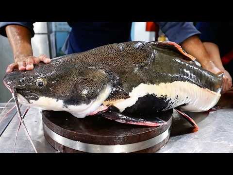 GIANT REDTAIL CATFISH Vietnamese Food Hang Duong Quan