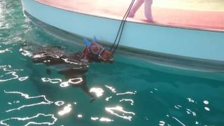 [補番] 賽馬娘02~03