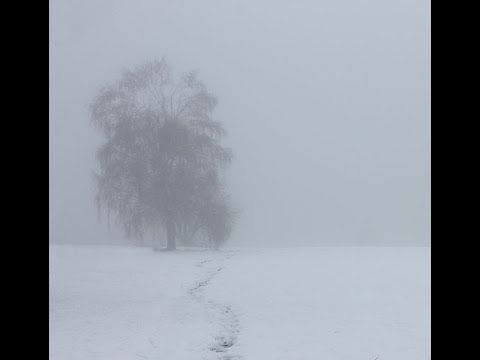 (free) mayot x rocket x bushido zho x soda luv type beat