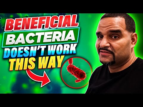 STOP Believing These 5 Beneficial Bacteria Myths!