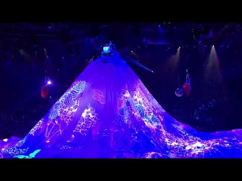 Cirque Du Soleil - The Beatles Love - Within You Without You