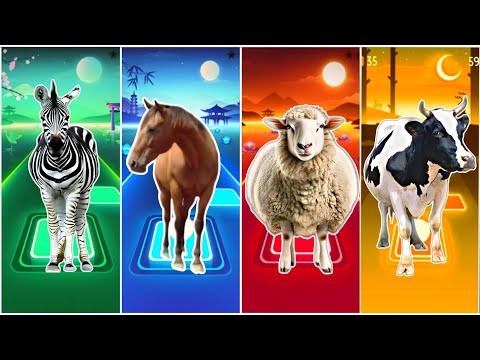 Drôle de zèbre🦓🆚 drôle de cheval🆚 drôle de mouton🆚 drôle de vache🆚 carreaux hop edm rush