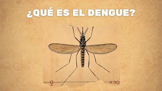 ¿Qué es el dengue?