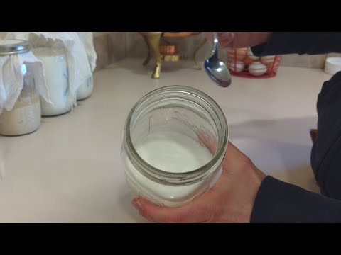 Making Countertop Yogurt: Villi, Filmjolk, Piima, and Matsoni