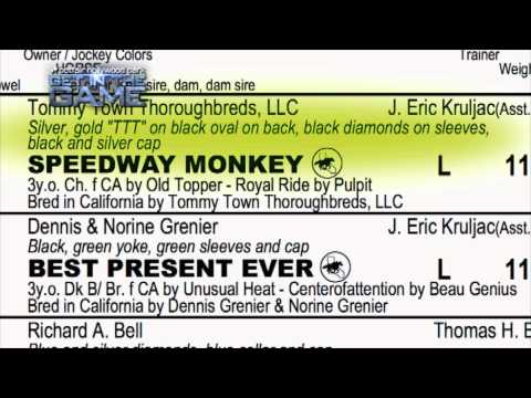 GET IN THE GAME - PROGRAM