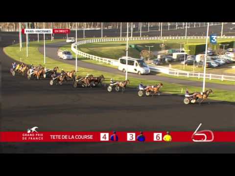 Grand Prix de France 2015 - Timoko (Bjorn GOOP)