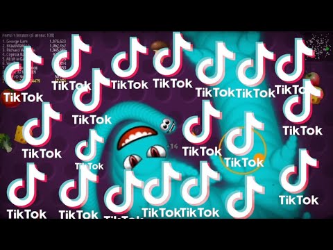 DJ MAAFMU HARAPANKU | VIRAL DI TIK TOK [ VERSI MENJEBAK MEMBUNUH CACING ]