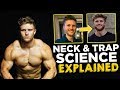 How to Grow a Huge Neck and Traps | Science Explained (14 Studies)