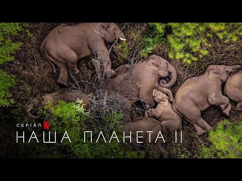 Наша планета II | Офіційний український трейлер | Netflix