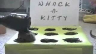 Adoration of the Wack-a-Kitty