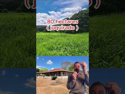 Terra no Mato Grosso não ta valendo nada