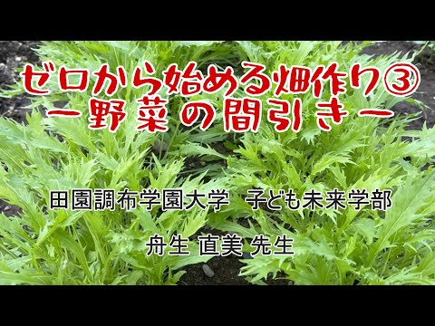 021:ゼロから始める畑作り③ー野菜の間引きー【子どもゆうちゅう部】