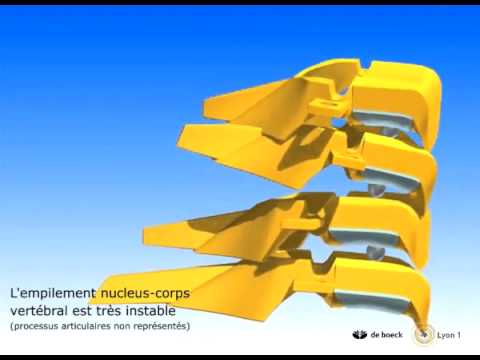 Voltaren di ernia intervertebrale Il motivo per cui le articolazioni crackle in ginocchio estensione
