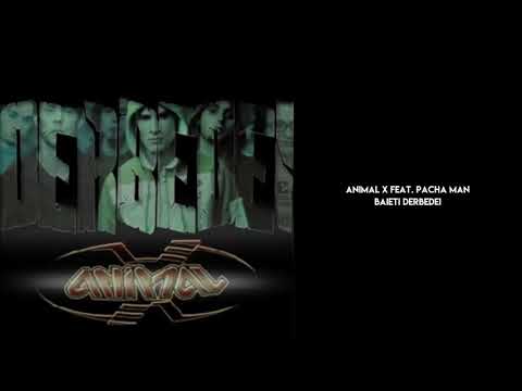 Animal X feat. Pacha Man - Baieti Derbedei (Official Audio)