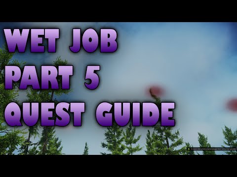 Wet Job part 5 - Escape from Tarkov