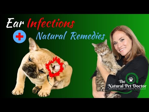Natural Remedies for Dog and Cat Ear Infections