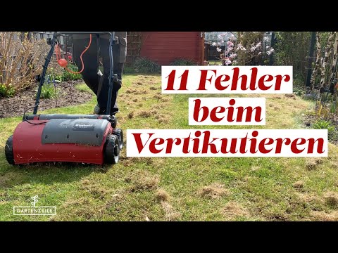These 11 mistakes you should avoid when scarifying your lawn! Simply explained!