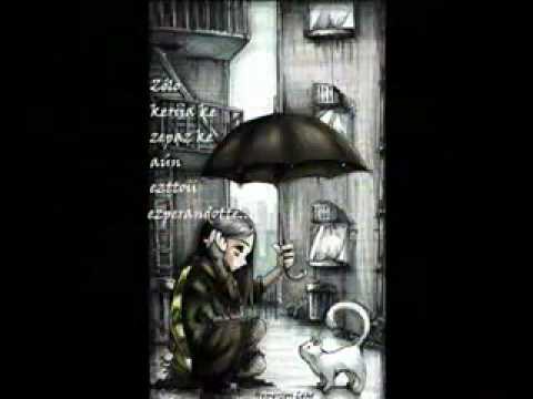 TU ULTIMA CANCION  LOS TEMERARIOS.flv