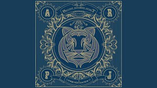 Shyest Kindred Spirit (Acoustic)