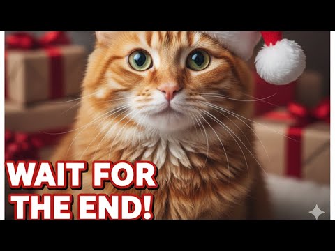 This Cat Has Better Christmas Moves Than You! 😹🕺