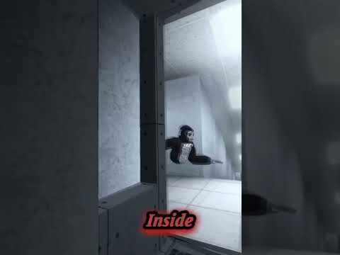 IM PREPARED TO SACRIFICE MY LIFE I WOULD GLADLY DO IT TWICE #lyrics #scary #baboon #scarybaboon #vr