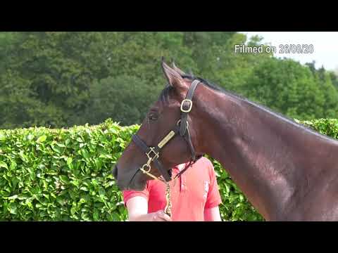 2020 Deauville Select Sale - Lot 9 f.DABIRSIM x AJAXANA