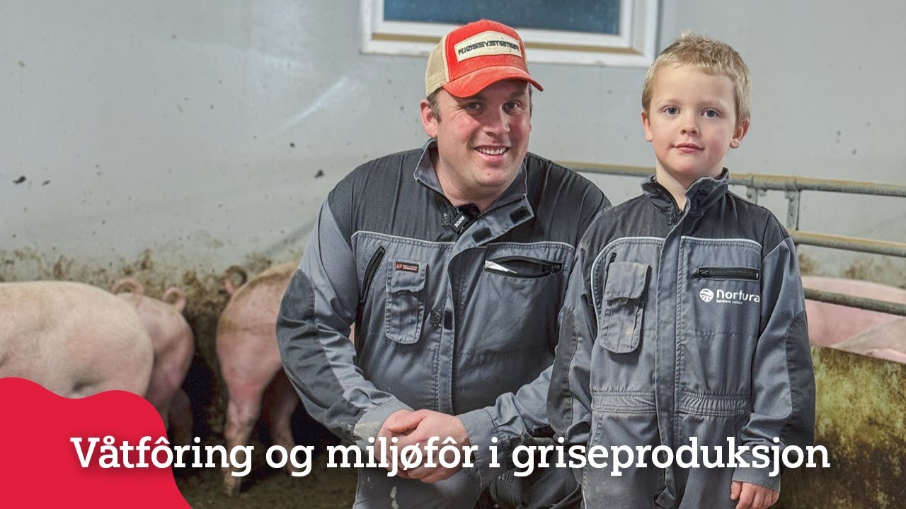 Bærekraftig griseproduksjon med fokus på resursutnytting