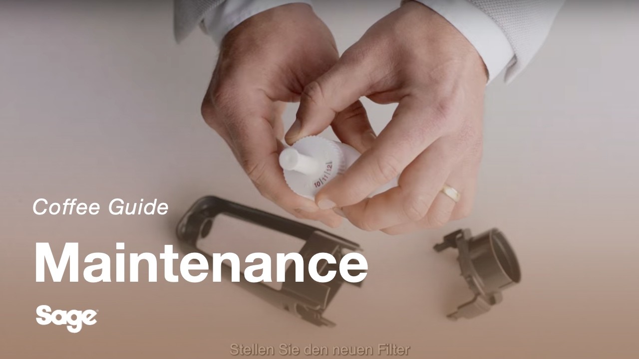 How to replace the water filter