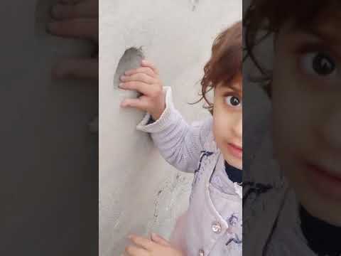 dog seeing Aiza taiba #shorts #trending