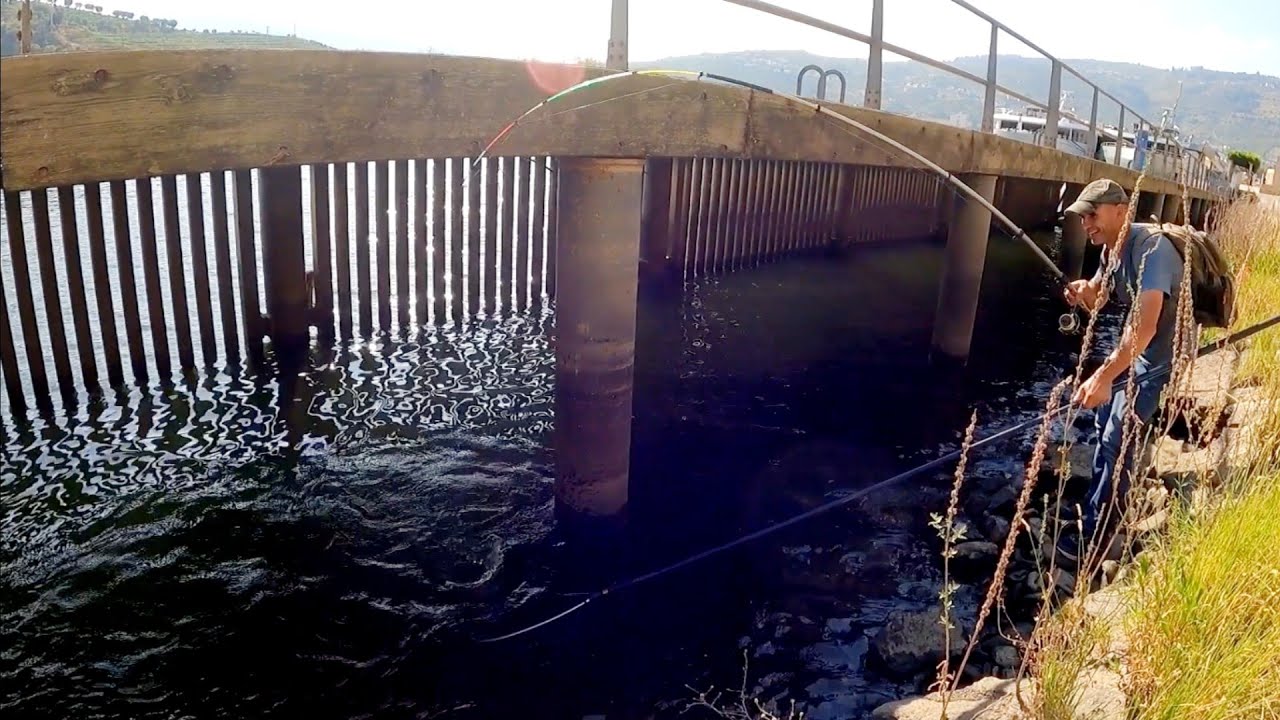 Os barbos e os Esgotos