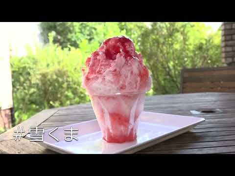 熊谷市　映えスポット・イベント紹介動画