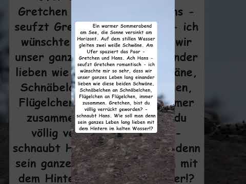 Romantischer Abend am See - aber Hans hat eine ganz andere Sicht auf die Liebe der Schwäne