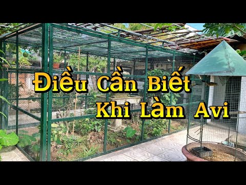 Những Vấn Đề Quan Trọng Khi Làm Và Thiết Kế Aviary - Chuồng Nuôi Chim Cảnh || Đạt Bird TV