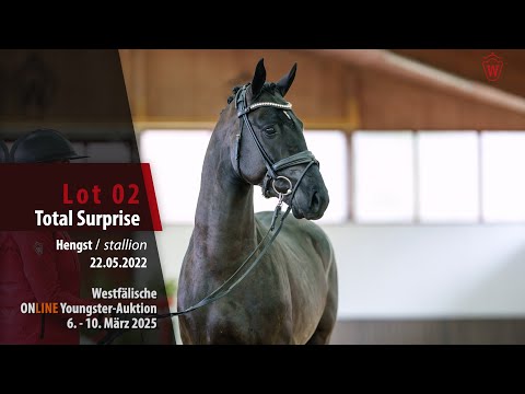 Youngster-Auktion Lot 02 Total Surprise Hengst v. Total Diamond PS - Floriscount