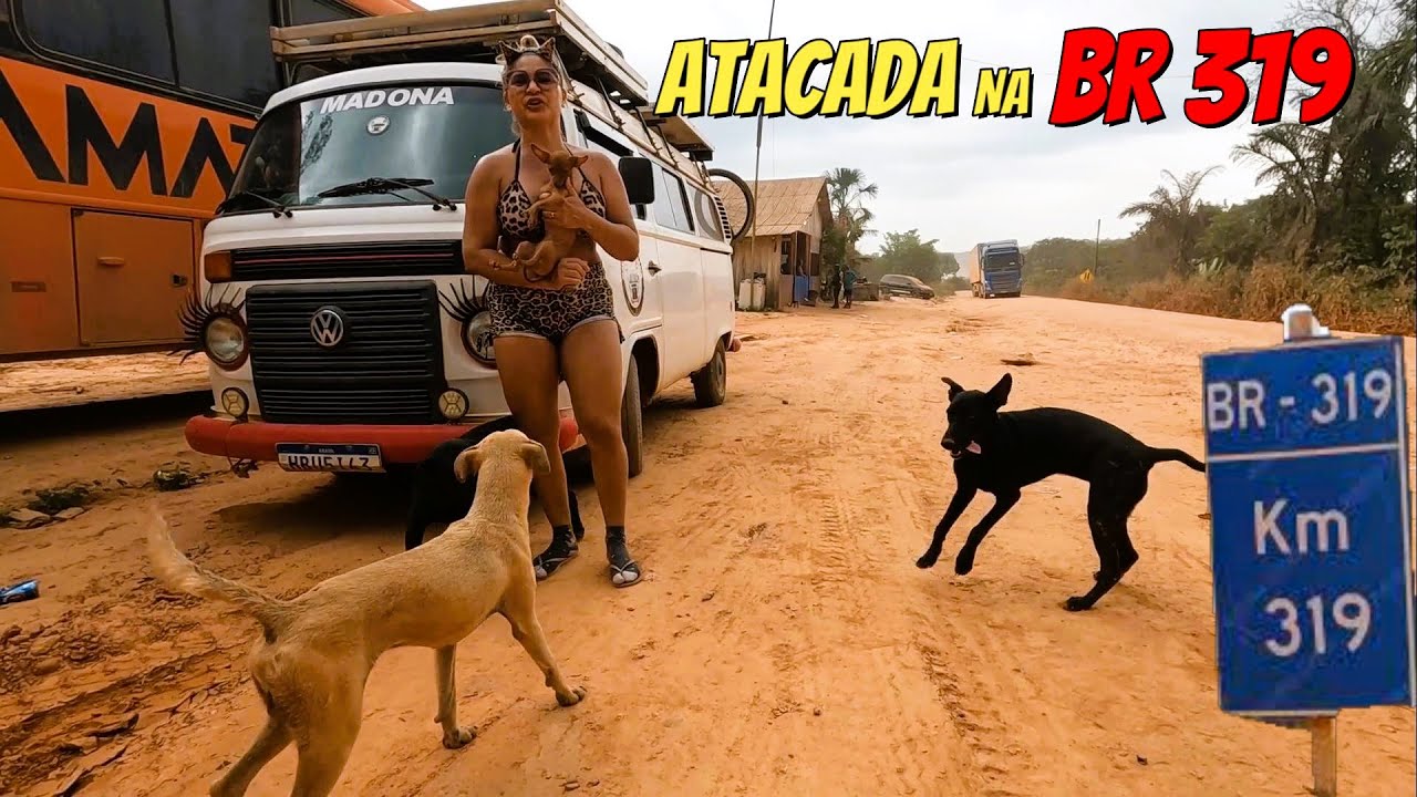 ENTREI EM PÂNICO QUANDO ELES PARTIRAM PRA CIMA DE MIM NA BR319