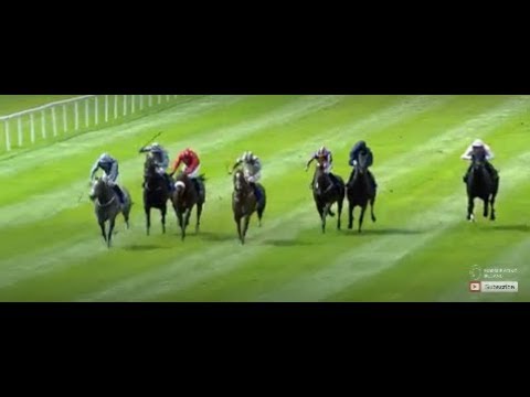 DAY 2 of the Darely Irish Oaks Weekend featuring the Kilboy Estate Stakes (Group 2) | 22nd July 2018