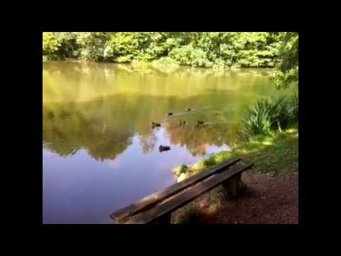 Zwäntz eine Erinnerungstour am 20160911 So